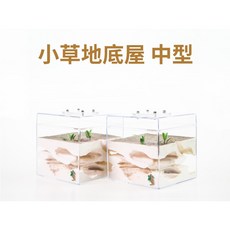 螞蟻帝國 盎然灰沙地底屋 一體式立體四面石膏巢 中型螞蟻巢 蟻窩 養螞蟻 新版上蓋