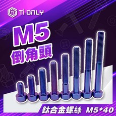 【TiONLY】鈦鴻利 正鈦螺絲 M5*40, 藍紫色, 1個