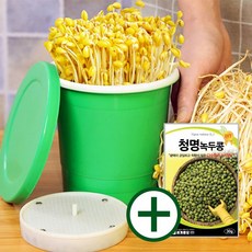 콩나물재배기+녹두콩 30g/숙주나물 키우기 키트, 2세트