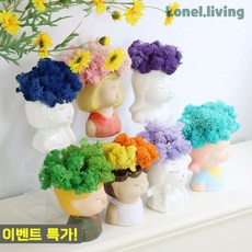 로넬리빙 만들기 공예 도자기 얼굴화분 모스세트 DIY 패키지 미니화분 키트, 5호