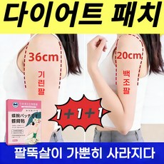 팔뚝살 패치 다이어트 패치 붙이는 셀룰라이트 패치 팔뚝 부유방 지흡 패치 식욕억제 혈액순환 비만관리, 3개, 12개입