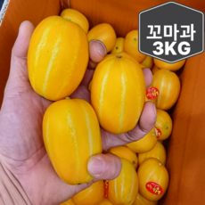[생산자직송] 고당도 미니 꼬마 성주 참외 3kg 5kg 10kg, 1세트, [가정용] 꼬마과 3kg