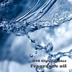 프래그런스 오일 B08 집시워터 디퓨저 향수 향오일, 1개