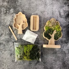 DIY 스칸디아모스 가지나무액자 집에서도 만들 수 있는 천연이끼 액자, 모스그린, 150, 1개