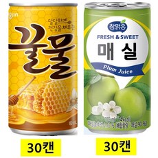 웅진꿀물캔 + 참맑은매실, 60개, 175ml