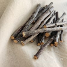 [아기다람쥐또미]사과나무가지 이갈이 50g피그미다람쥐 햄스터 자연 이갈이 장난감 무첨가 원목 안전간식 치아과성장방지 행동풍부화간식, 1개