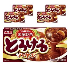 에스앤비 20종류 일본산 채소가 듬뿍 녹아있는 하이라이스, 160g, 5개