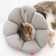 쿠션 넥카라 그레이 1p 강아지 고양이 깔대기 면카라 강아지넥카라 강아지목보호대 고양이넥카라, S, 1개