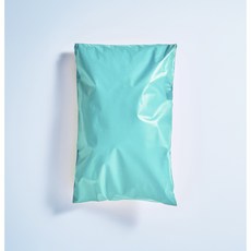 포장해닷컴 택배봉투 대형 HDPE 의류봉투 민트, 100장