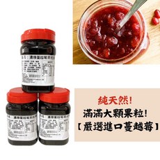 豐璽食品 濃糖蔓越莓果粒露 1.1kg, 1個