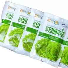 무안 순수 양배추즙 30포 양배추주스, 1개, 100ml