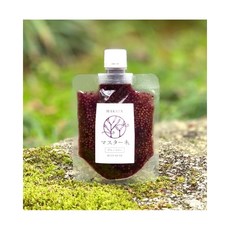 남쪽 바람 마스터네. 블루베리 120g 파우치