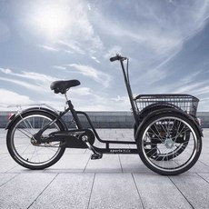 자전거 인력거 축제 세발 역삼륜 마차 가족 유원지, 20인치블랙+60바디+패키지, 1개