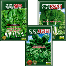 채소씨앗 3종 열무씨앗+엇갈이씨앗+시금치씨앗 텃밭 종자, 1개
