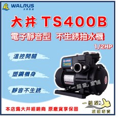【一級泵】大井 TS400B 1/2HP 電子靜音型 不生鏽抽水機 - 抽水馬達/泵浦, 1個, TS400B +遮雨罩 +防震墊,標準 3/4"（20mm）/ 110V
