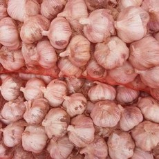 2025년 창녕 햇 마늘 특대 5kg 출시 난지형 국내산 산지직송 통마늘 흑마늘 김장 요리, 필수선택