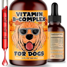 Amay 비타민 B12 복합체 액상 비건 노령견 소화 개선 60ml, 2액량 온스, Flavor: Raspberry, 2개