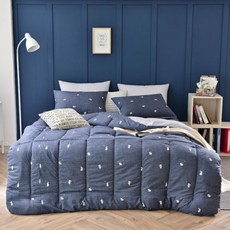 이클라스 모던 양면 알러지케어 차렵이불 싱글 침구세트