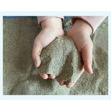 (깨끗한 모래) 세척건조 모래, 1kg, 1개