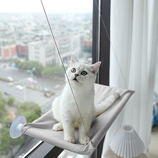 고양이 유리창 캣타워 사각 흡착식 침대 창문 해먹bel4+6jfC