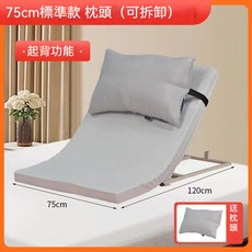 遙控陞降 多功能老人起床輔助器 癱瘓病人自動起身器 孕婦臥床靠背陞降床墊 陞降護理墊 起身陞降器 靠背器, 自動起背款+枕頭