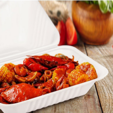 Draw Life 一體型紙漿便當盒 白色 230*158*126mm, 125, 1入