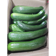 국내산 쥬키니 호박 못난이 가정용 주키니 호박, 1개, 5kg내외 (상등급)