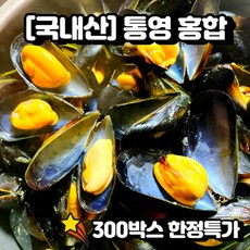[100%국내산] 통영에서 온 탱글탱클한 홍합, 1박스, 1kg