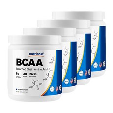 뉴트리코스트 BCAA 헬스보충제 블루라즈베리, 263g, 4개