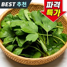 [백화점납품] 국산 방풍나물 금오도 산지직송, 1박스, 1kg