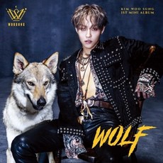 KIM WOO SUNG WOLF 迷你專輯, 無海報