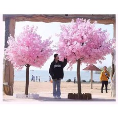 벚꽃나무조화 인조벚꽃 쇼핑몰 선술집 조경 폭 원형, 원형 2m 높이 1.5m 폭