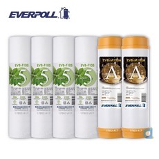 EVERPOLL EVB-F105 5微米PP濾芯4支+EVB-M100A道爾樹脂濾芯2支(共6支) 大大淨水, 1個