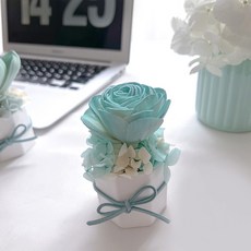 法國鄉村玫瑰香氛擴香花 藍綠漸變 (贈送5ml香氛油), 法國鄉村玫瑰香氛擴香花藍綠漸變(贈送5ml香氛油)