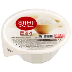 CJ 햇반 큰공기, 300g, 40개
