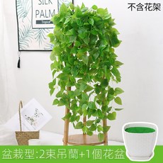仿真綠蘿客廳掛墻綠植 壁掛植物裝飾 垂吊假花藤 條室內藤蔓吊蘭吊籃, 黃色 盆栽精靈綠蘿, 1個