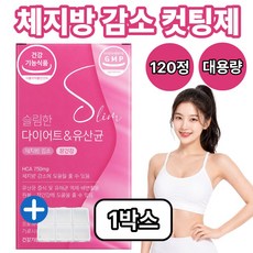 12통구매시 BNR17 비에날씬 다이어트 유산균 모유유래 체지방감소 증정 / 중년 뱃살 내장지방 복부지방 식약청 인증, 1개, 120정
