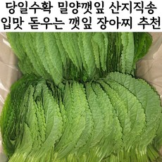 국산 생 최상품 깻잎 깻잎김치 장아찌용, 1박스, 1kg