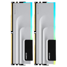 글로웨이 DDR5 데스크탑 RGB 램 그레이 C32 16GB GW7000N16G-GA 2개입, 1개 1개