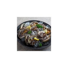 완도전복 1kg 23-27미