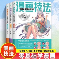番茄書屋 正版漫畫技法從新手到高手 美術繪畫掌握和提高繪畫技巧, 漫畫技法從新手到高手