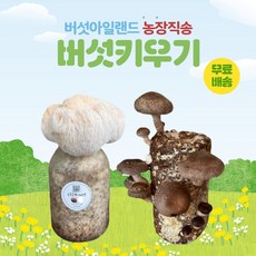 버섯키우기, 노루1+표고1, -