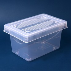 레파즈 게코케이지 (중), 1개, 투명