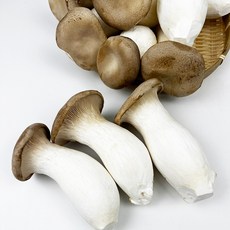 [새벽시장] 국내산 무농약 새송이버섯 버섯요리 전골재료 마라탕 볶음 새송이 400g, 2개