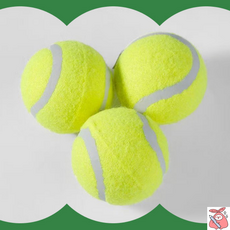 해피J보따리 연습용 테니스공 3P 입문자 야구놀이 의자발커버 고무공, 1세트, 상세페이지 참조