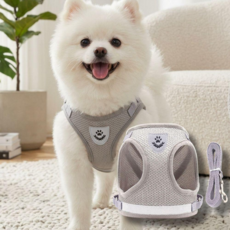 오브리버티 야간 산책 안심 빛 반사 스티치 강아지 하네스 리드줄 세트, 1개, 그레이