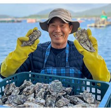 [재구매율1위] 쫀득탱글 석화 굴 각굴, 1박스, 5kg