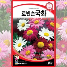 세계종묘 산들마켓 로빈슨국화 씨앗 70립 혼합종 국화 다년생 꽃씨 종자, 1개
