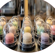 로로이 돔형 디저트 케이스 일회용디저트용기