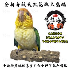 悠悠水族 全新升級花椒木站棍 真材實料 適合金頭凱克鸚鵡 直徑3公分 長度20公分, 1個, 直徑３公分＿長度２０公分